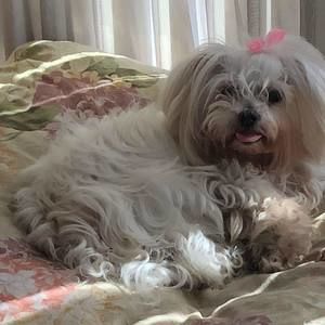 Meet your Posher, Christine